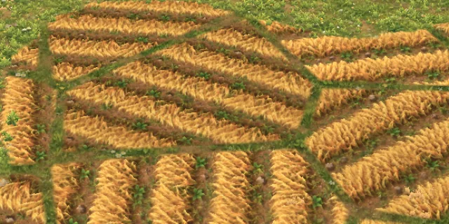 Wheat fields in the game